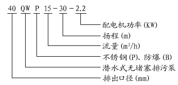 大東海泵業潛水排污泵型號意義