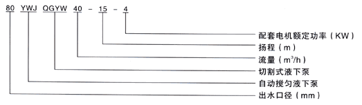 大東海泵業(yè)液下泵型號(hào)意義